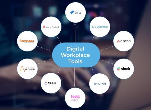 Business Office Software Skills (Intermediate Level)