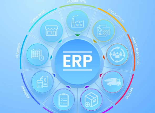ERP Fundamentals for Business Professionals